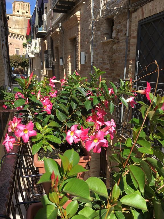 Guest House Dimora Fiorita Serracapriola ภายนอก รูปภาพ